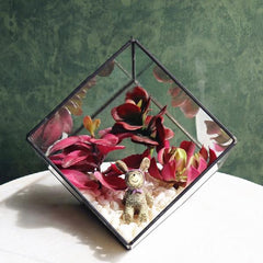 AsyPets Modern Glass Geometric Terrarium Box Tabletop Succulent Plant Holder Planter Fern Moss Display Vase Pot-35