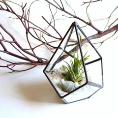 4 Size Air Planter Tabletop Succulent Diamond Glass Geometric Terrarium Box Moss Fern Flower Pot Garden Home Decoration Gift