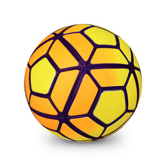 Official Size 5 Professional Soccer Ball