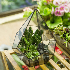 Modern Artistic Hanging Clear Glass Five-surfaces Diamond Flower Pots Succulent Fern Moss Planter Geometric Terrarium with Loop